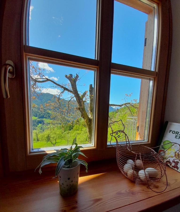 B&B Chalet Dolomiti Sant'Orsola Exteriör bild