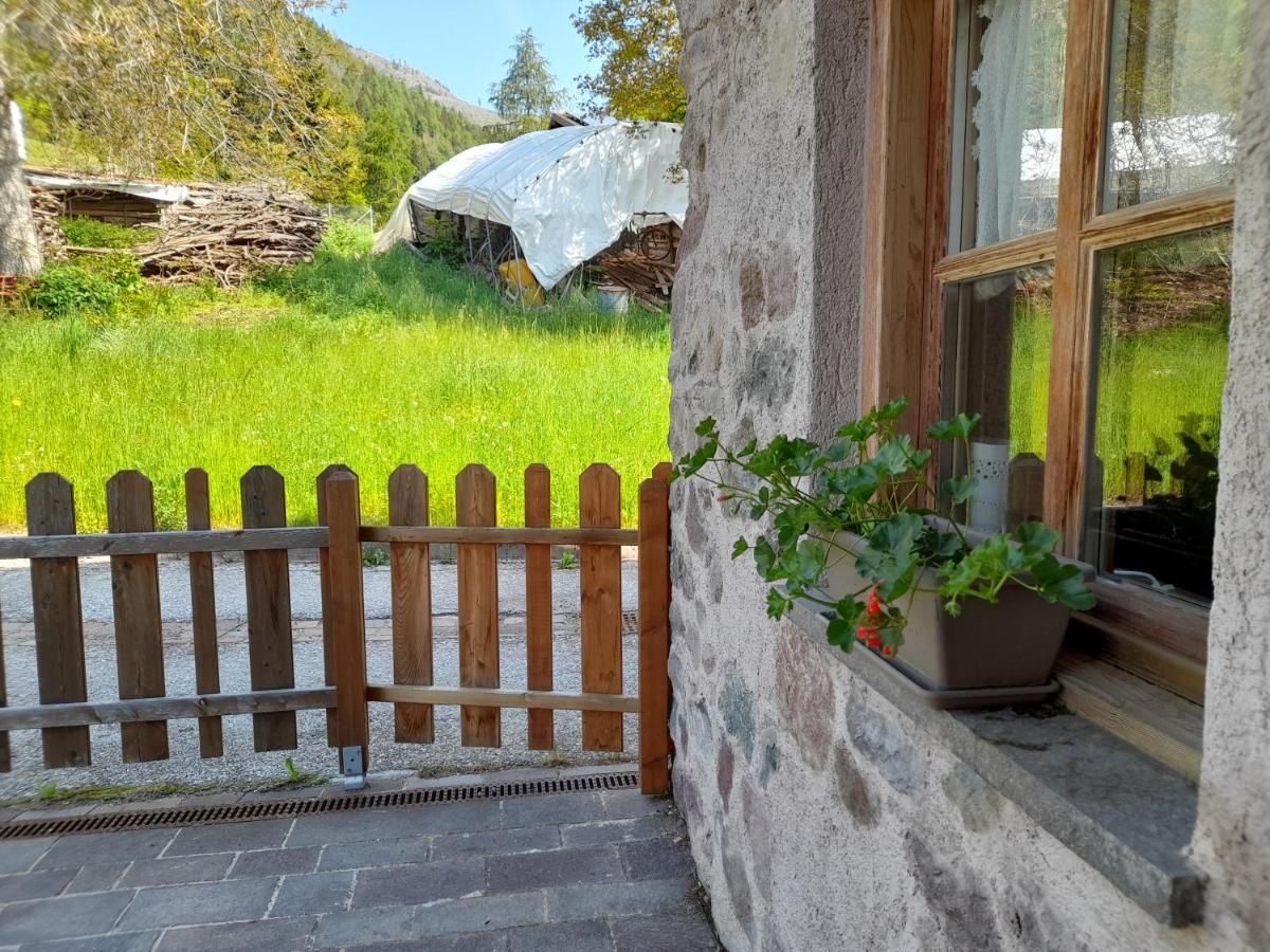 B&B Chalet Dolomiti Sant'Orsola Exteriör bild